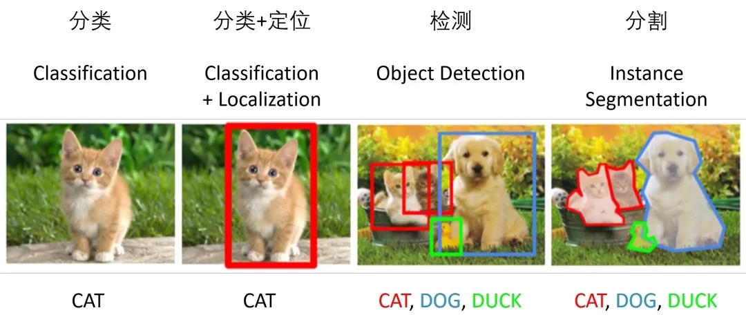 640 (2).webp (1).jpg